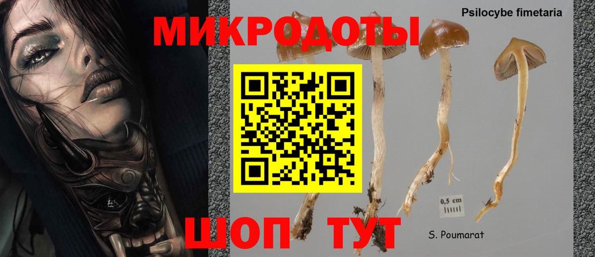 Приморско-Ахтарск  где продают   Вход с VPN  Галлюциногенные грибы мицелий 